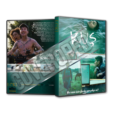 Kuş - Bird - 2024 Türkçe Dvd Cover Tasarımı